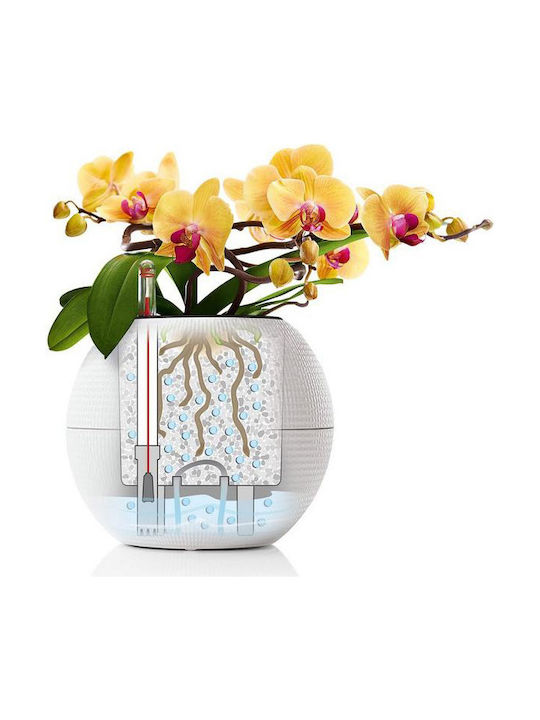 Lechuza Puro Self-watering Pot Plastic 20x20x16cm.