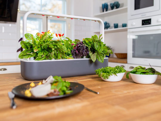 Click and Grow The Smart Garden 9 Self-watering Planter Box Plastic White 60.4x18.4x39.6cm.