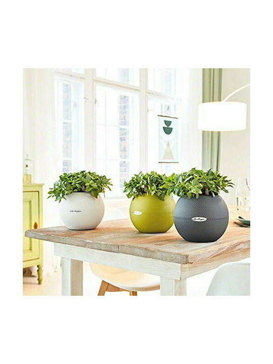 Lechuza Puro Self-watering Pot Plastic 20x20x16cm.