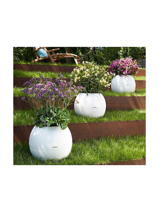 Lechuza Puro Self-watering Pot Plastic 20x20x16cm.