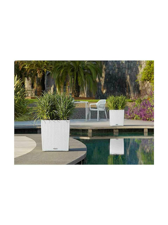 Lechuza Cube Cottage Auto-udare Ghiveci Plastic 29.5x29.5cm.