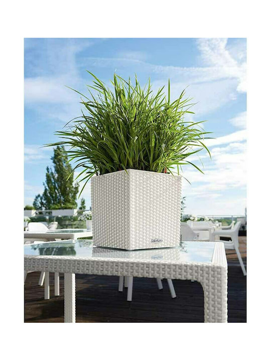 Lechuza Cube Cottage Auto-udare Ghiveci Plastic 29.5x29.5cm.