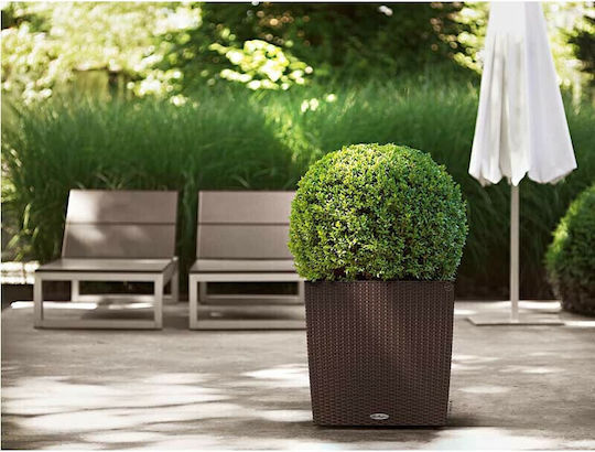 Lechuza Cube Cottage Auto-udare Ghiveci Plastic 49x49x49.5cm.