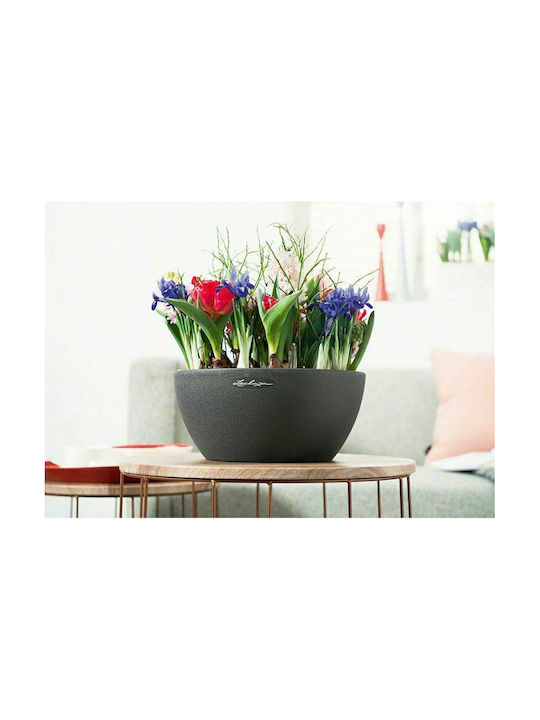 Lechuza Cubeto Stone Self-watering Pot Round Pot Plastic Black 40x40x18.3cm.