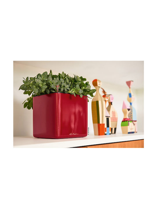 Lechuza Cube Glossy Self-watering Pot Plastic 17x17x16cm.