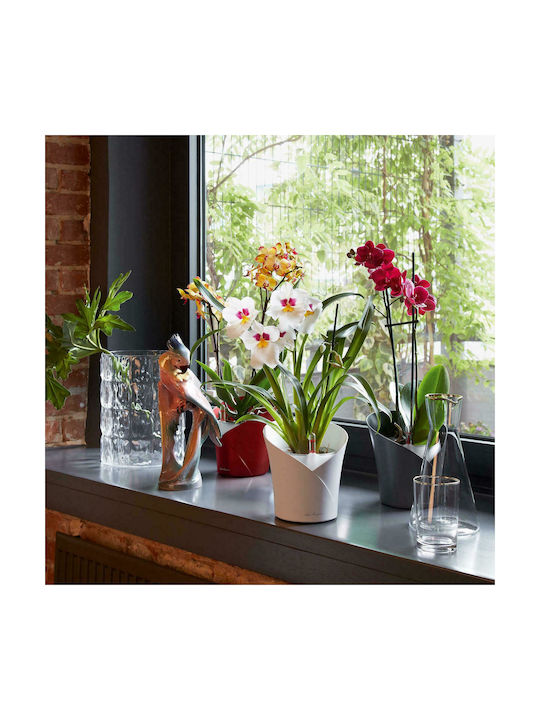 Lechuza Orchidea Self-watering Pot Plastic 18x18x20cm.