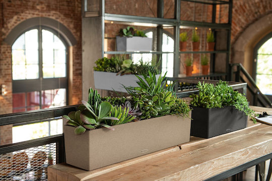 Lechuza Balconera Stone Sand Beige Self-watering Planter Box Plastic Beige 50x19x19cm.