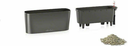 Lechuza Delta Selbstbewässernd Blumenkasten Kunststoff Gray 30x11x13cm.