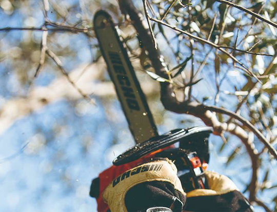 Echo Gasoline Chainsaw 3kg with Blade 25cm and Easy Start