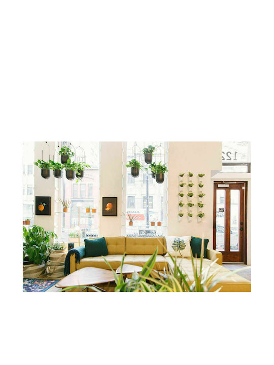 Umbra Bolo Hanging Planter Ceramic Black 15.9x15.9x62.2cm. Pendant