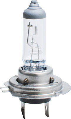 M-Tech Lămpi Autoturismului PX26d H7 Halogen 12V 55W 1buc