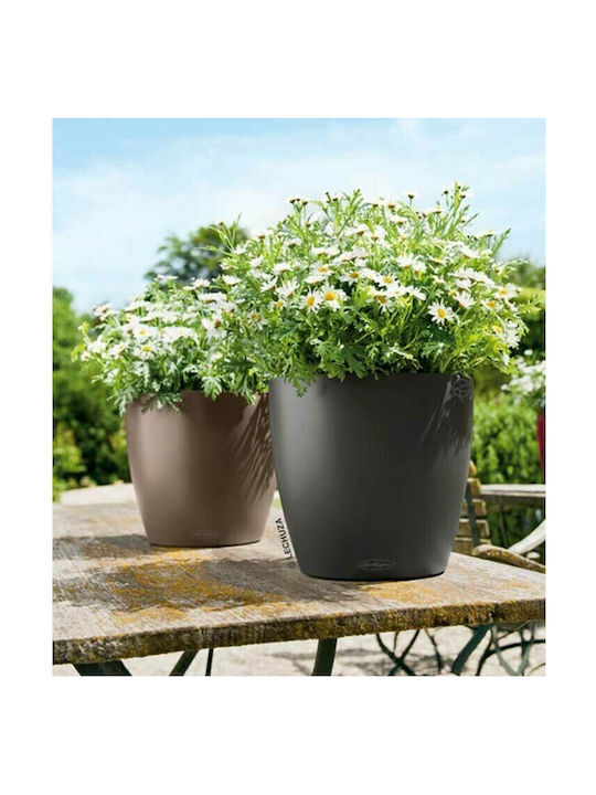 Lechuza Classico Self-watering Pot Plastic Nutmeg 34.5x34.5x32.5cm.