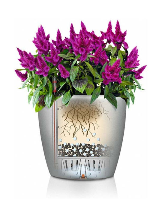 Lechuza Classico Self-watering Pot Plastic Nutmeg 34.5x34.5x32.5cm.