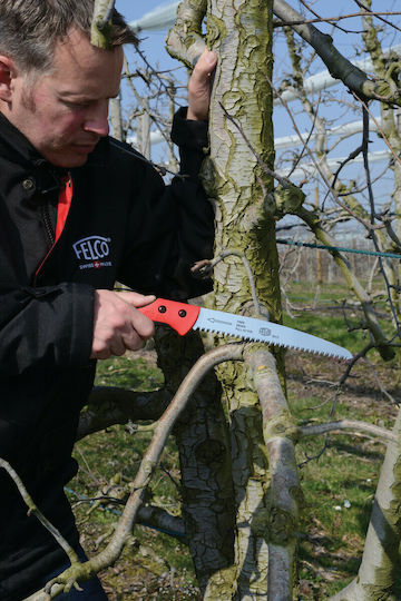 Felco 621 Pruning Hand Saw 24cm