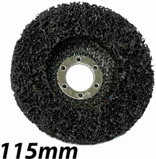 Pasco Disc de șlefuire pentru Μetal 115mm Set de 1buc