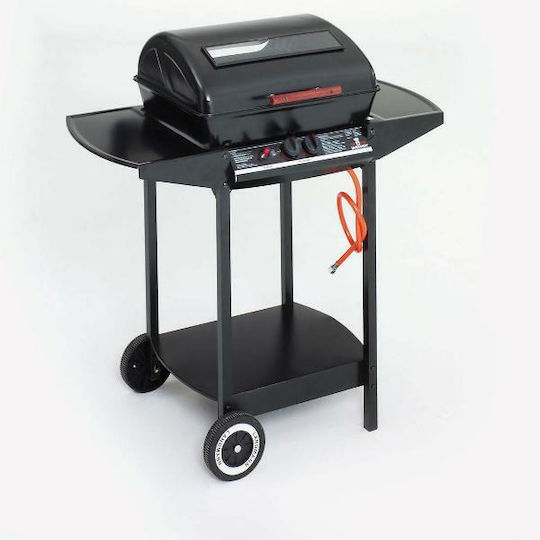 Grill Chef Wagon Portabilă Grătar pe gaz Grătar 48bucx37buccm cu 2 buc 2.75kW