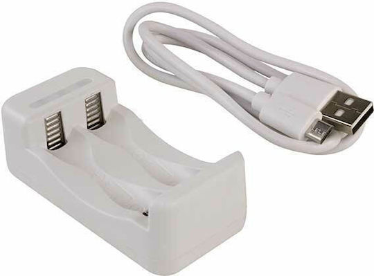 Ansmann Basic II USB Φορτιστής 2 Μπαταριών Ni-MH Μεγέθους AA/AAA Σετ με 2x AA 1300mAh