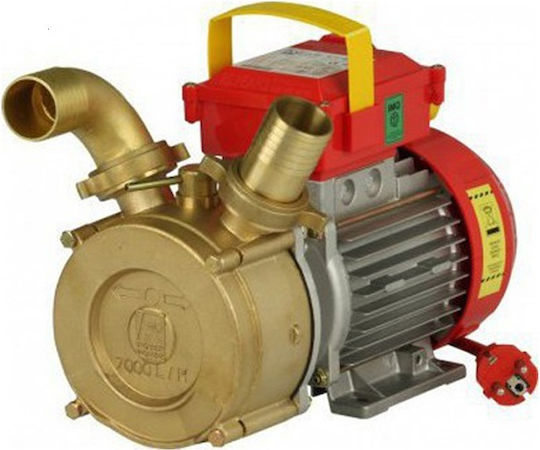 Rover Pompe BE-M 25 CE Single Phase Transfer Pump with 3/8" Inlet and 0.8hp Horsepower