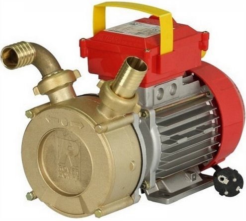 Rover Pompe BE-M 25 Single Phase Transfer Pump with 1" Inlet and 0.6hp Horsepower