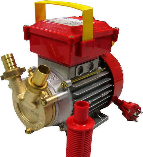 Rover Pompe BE-M 20 CE Single Phase Transfer Pump with 3/4" Inlet and 0.5hp Horsepower