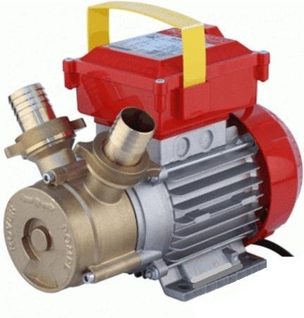 Rover Pompe BE-M 30 Triple Phase Transfer Pump with 1hp Horsepower