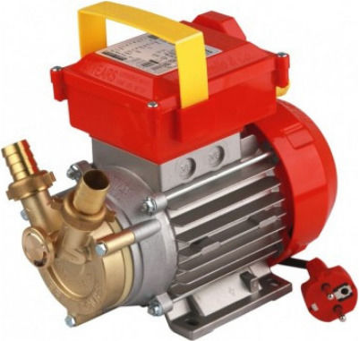 Rover Pompe BE-M 25 By-Pass Single-Phase Transfer Pump with 1" Fluid Inlet Size and 0.8hp Horsepower