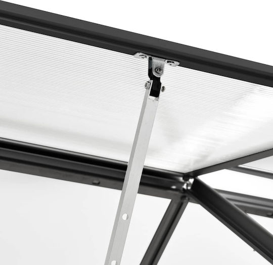 vidaXL 48220 Gewächshaus Typ Haus mit Aluminiumrahmen 4.9x1.9x2m