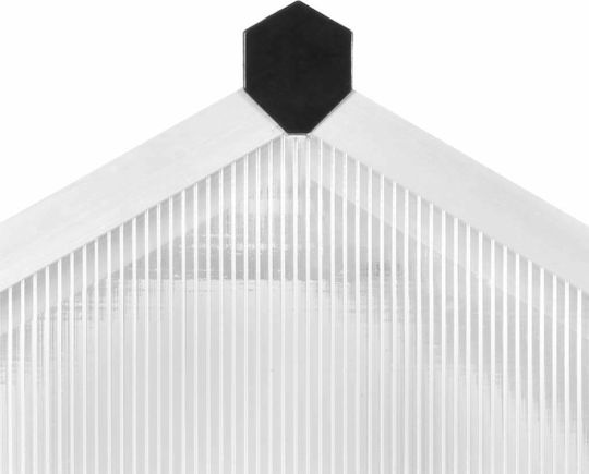 vidaXL 45215 Gewächshaus Typ Haus mit Aluminiumrahmen 32x1.9x1.95m
