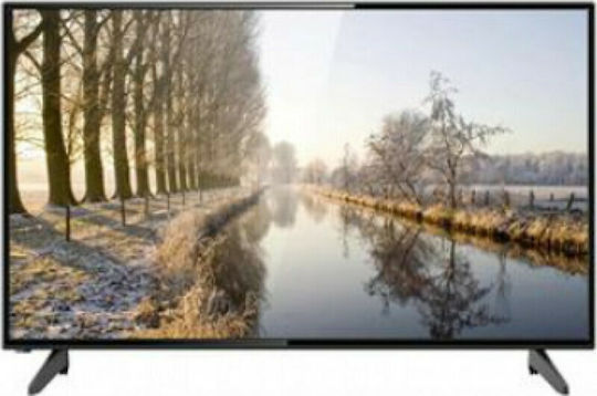 Winstar Television 24" HD Ready LED 24HD20 (2021)