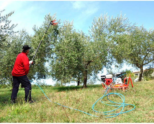 Lisam V8 Evo Olive Harvester Head Pneumatic Type Rake