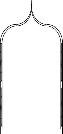 Arcadă De Grădină Din Metal Negru 120x38x258cm