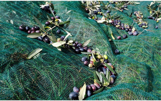 Grasher Olive Net 6x12m Density 90gr/m²