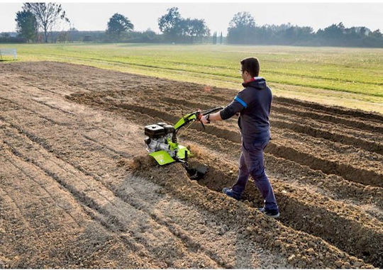 Grillo 11500 Cultivator Benzină 9hp/265cc cu Motor Subaru