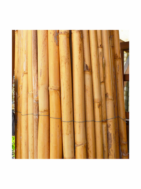 Showood Καλαμωτή με Ολόκληρο Καλάμι 1x3m
