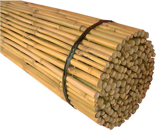 Dom Wood Καλαμωτή με Ολόκληρο Καλάμι Μπαμπού 2.5x2.5m