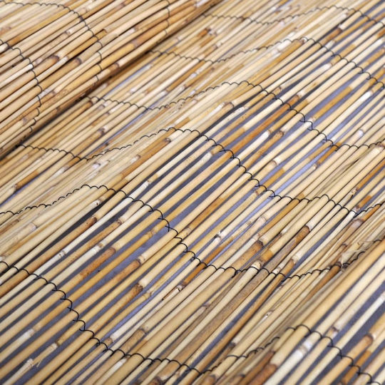 vidaXL Reed Fencing 1.5x5m
