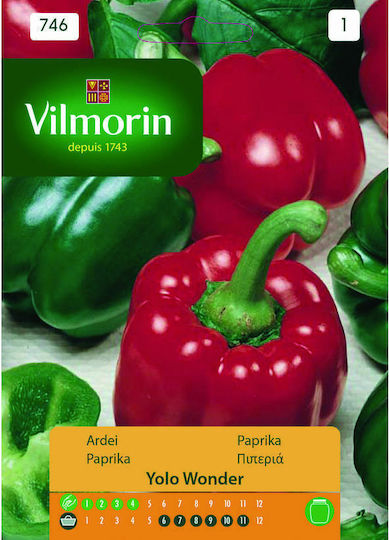 Vilmorin Seeds Peppers California Wonder