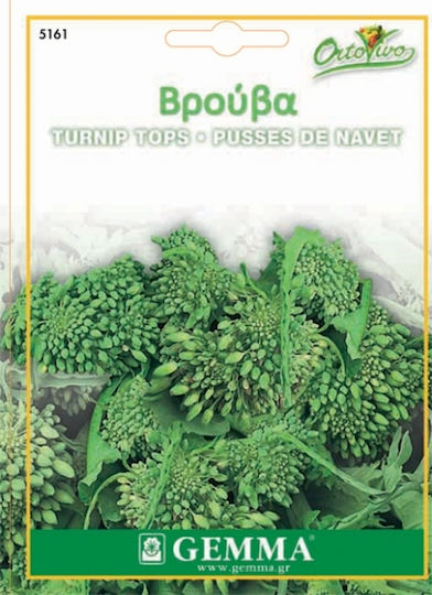 Gemma Seeds Sinapis Green 10gr/5000pcs