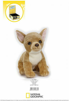 National Geographic Plush Dog Chiwawa 33 cm