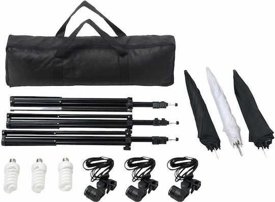 vidaXL Lighting Kit with Lights and Background Umbrella for Studio