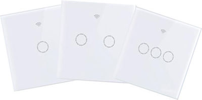 SmartWise T4EU2C 2 Gang Recessed Electrical Lighting Wall Switch Wi-Fi Connected with Frame Touch Button White