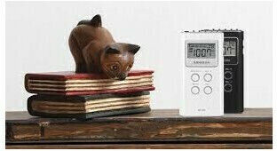 Sangean DT-120 Mini Radio Battery White