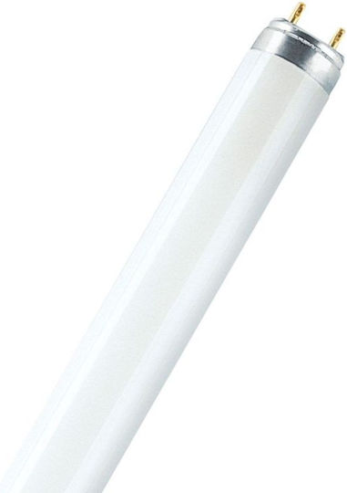 Ledvance Lumilux Leuchtstofflampe für Glühbirnensockel G13 mit Form T8 mit Warmes Weiß Leistung 36W