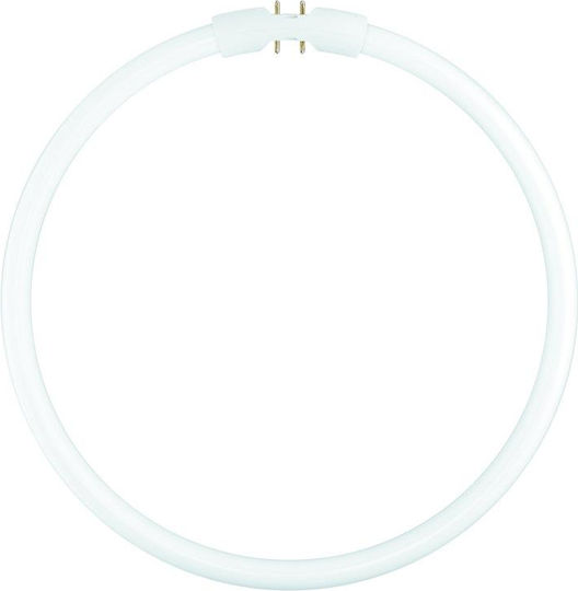Ledvance Lumilux Fluorescent Lamp for 2GX13 Socket with T5 Shape 22W