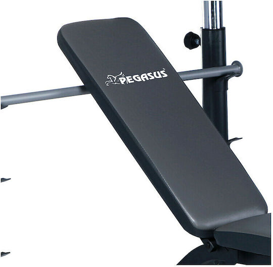 Pegasus JX-764 L-586 Adjustable Workout Bench with Stands
