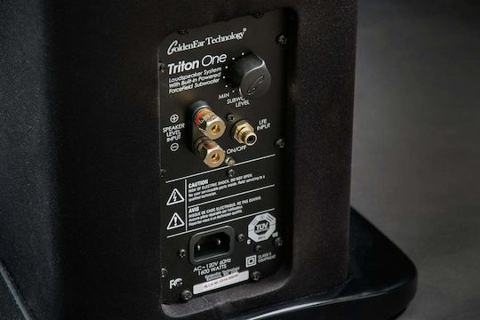 GoldenEar Triton One Difuzoare active 3 Nr. de șoferi 650W (Pereche) Negru