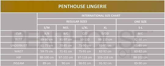 Penthouse Penthouse Ecstasy Queen Dress Sexy Dress Black