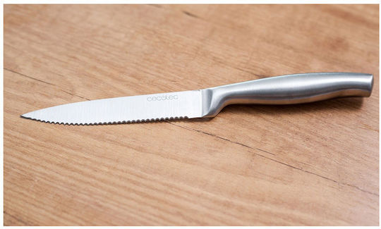 Cecotec Cuțite Friptură din Oțel Inoxidabil 12cm 6buc