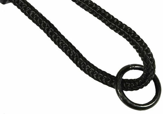 Enero Hanging Swing Nest Nest Swing