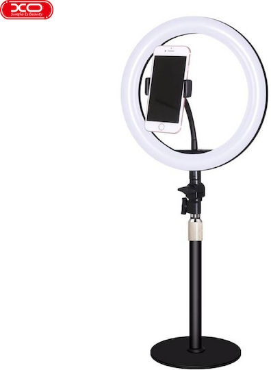 XO XO L03 LED Ring Light 26cm 3200 - 5600K with Desktop Stand and Mobile Phone Holder Black